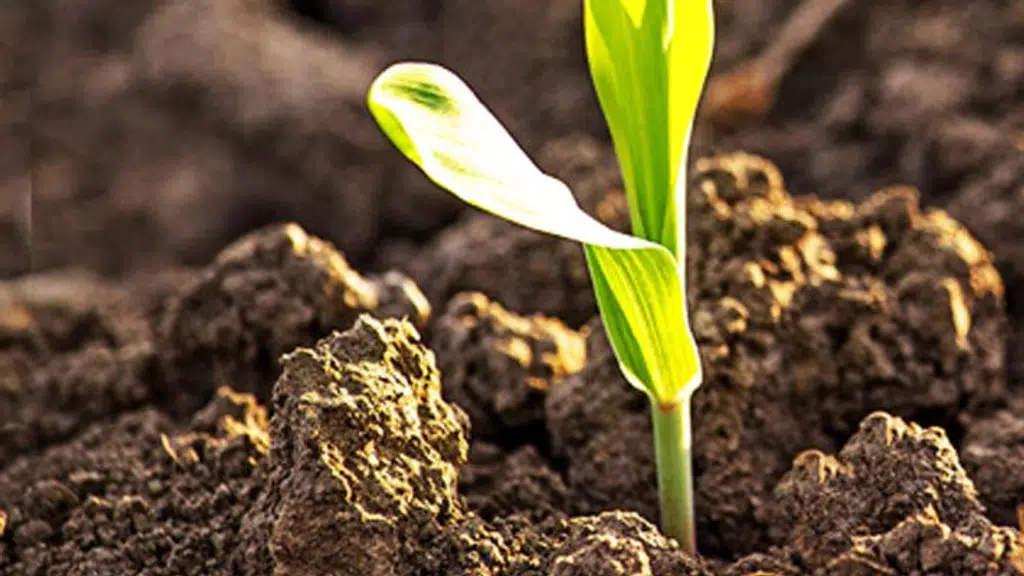 Say Geotech Engineers|Soil Testing Service, Lab Soil Testing Services, Soil Investigation Services