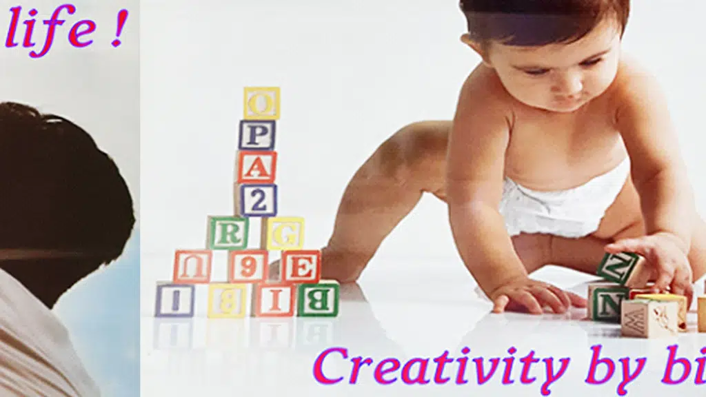 Indian Insurance & Investment Solution