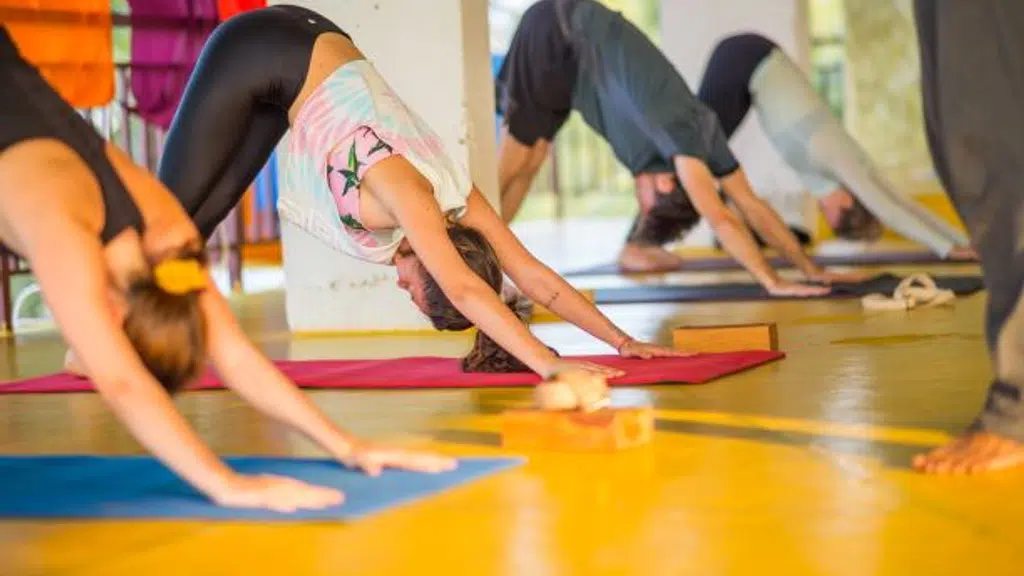 Upaya Yoga Center