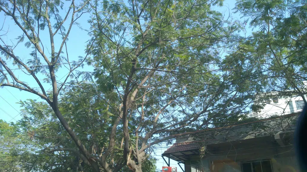 Dune Hyderabad