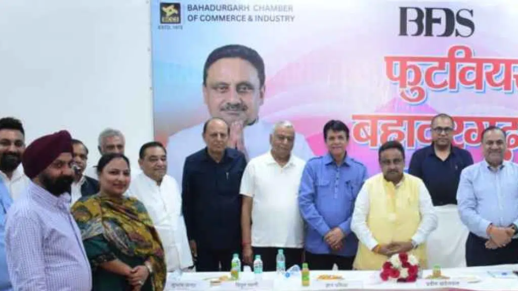 Footwear Cluster, Bahadurgarh
