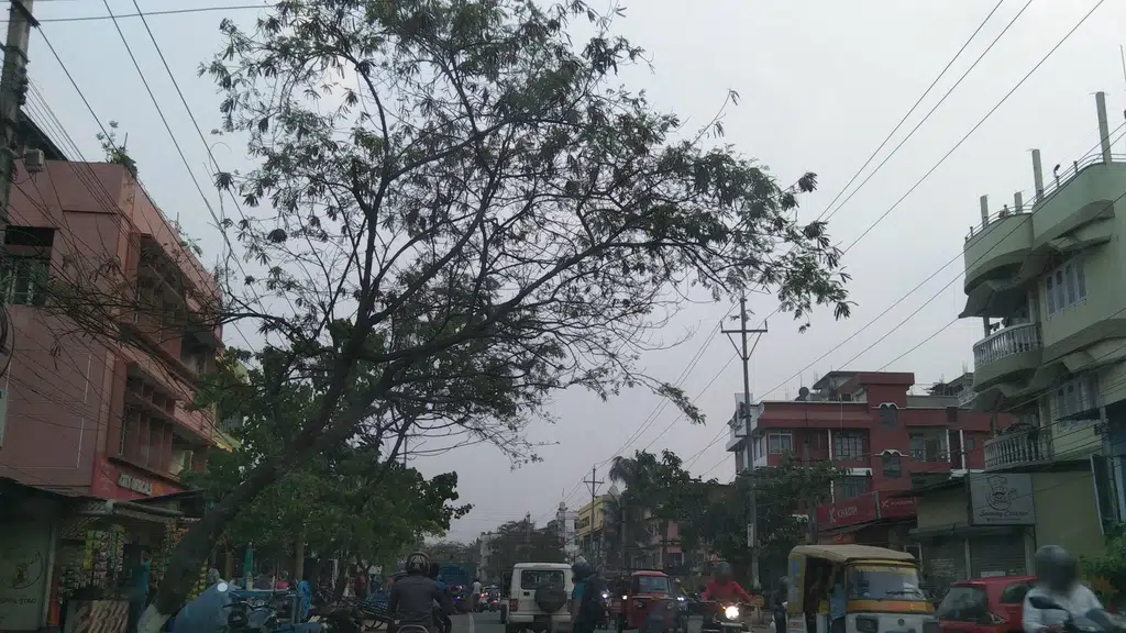 Ayur City