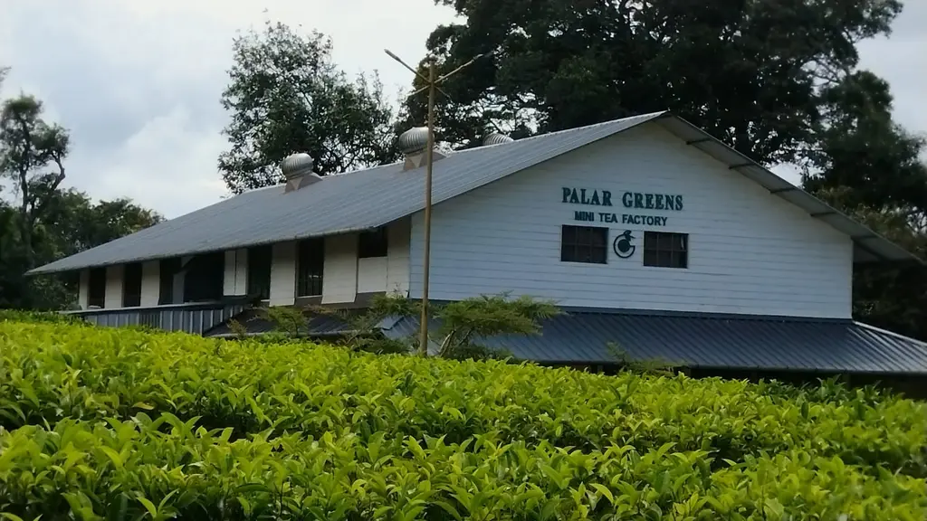 Palar Tea
