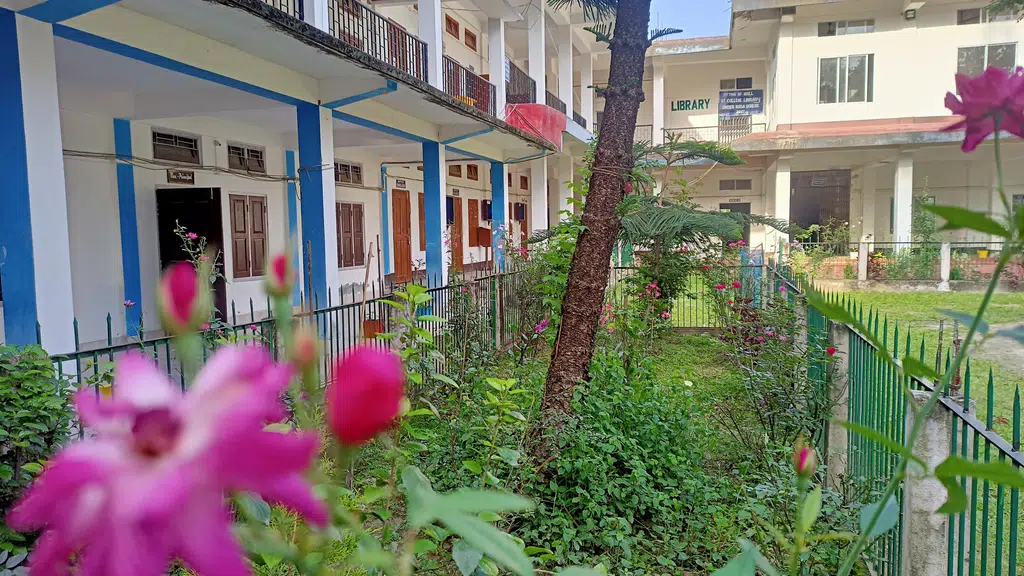 Gogamukh College