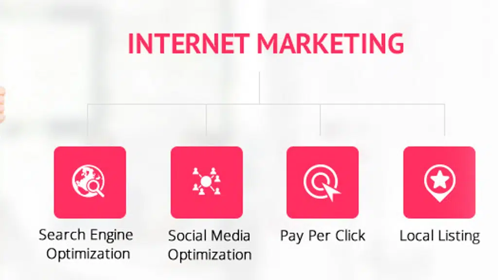 Web Solver - Digital Marketing Company
