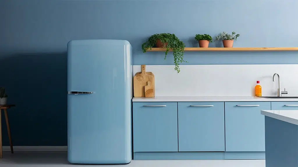 Appliances on rent