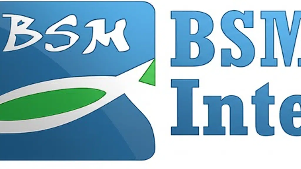 BSM International