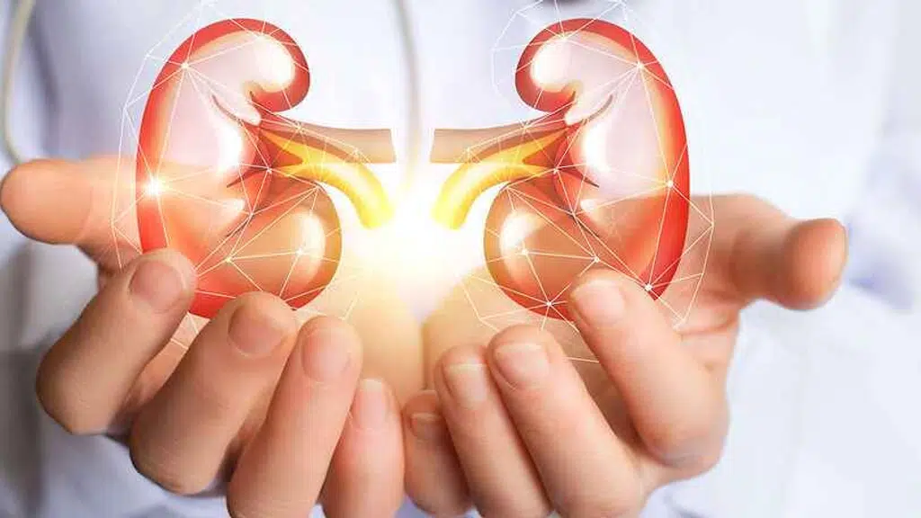 Dr Kalani Kidney Hospital