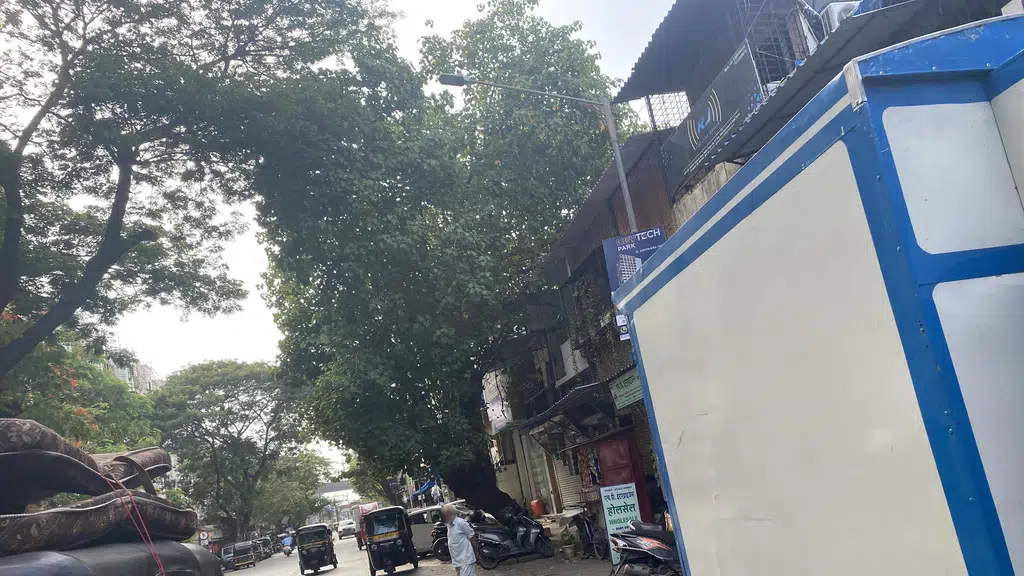 Shivaya Traders