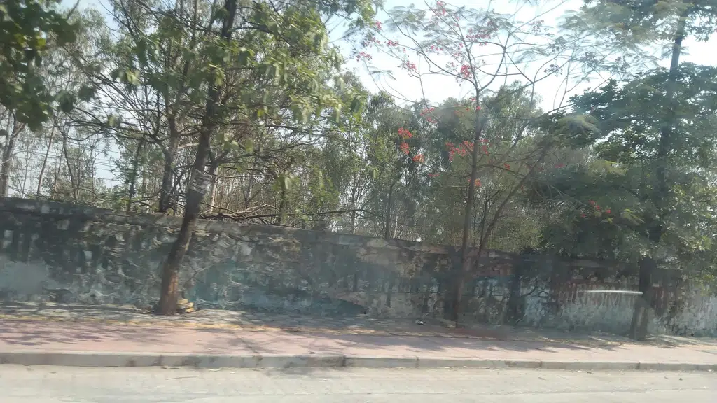 K. K. Mangal Lawn