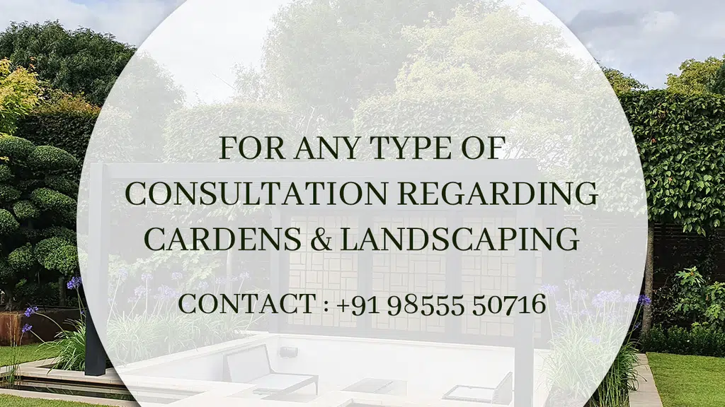 Technocare Nursery and Garden Centre