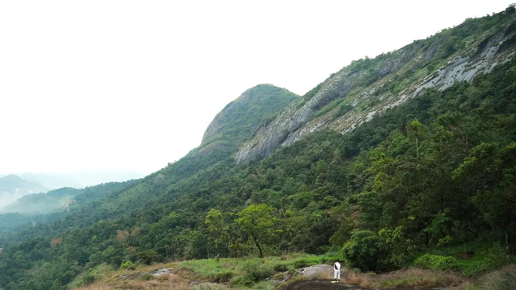 Ayur Yoga Valley Foundation