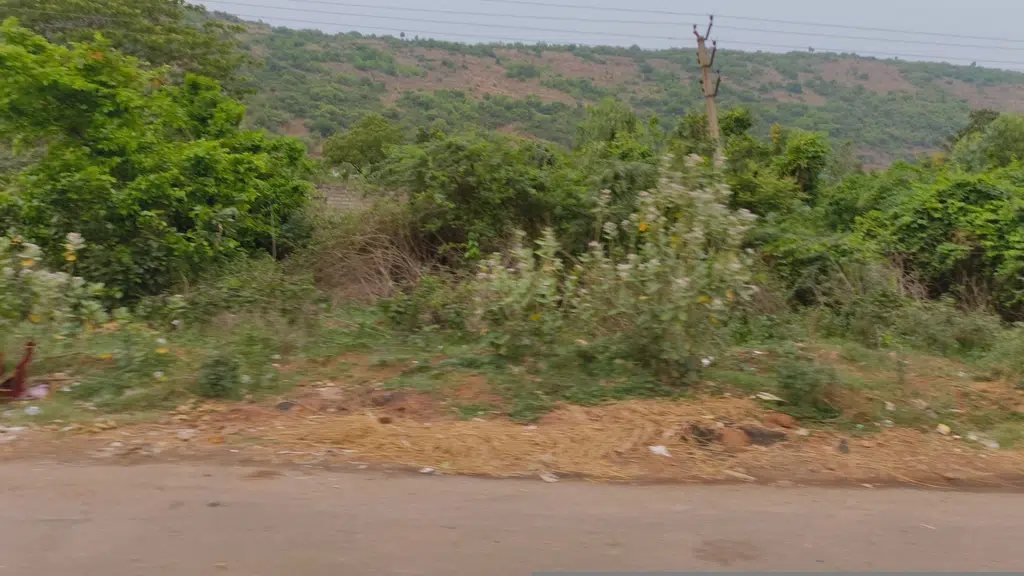 Sri Satyamamba Filling Station