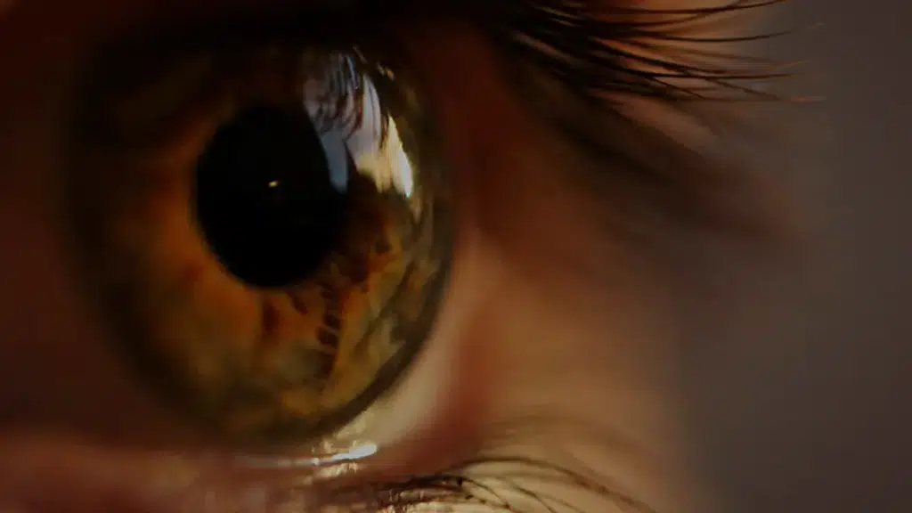 Agarwal Eye Care Hospital