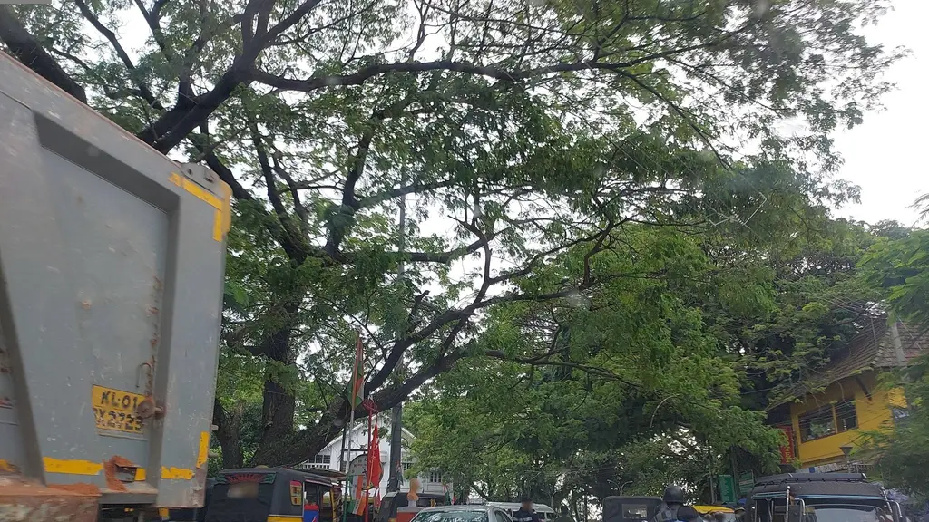 Fort Kochi Taxi’s