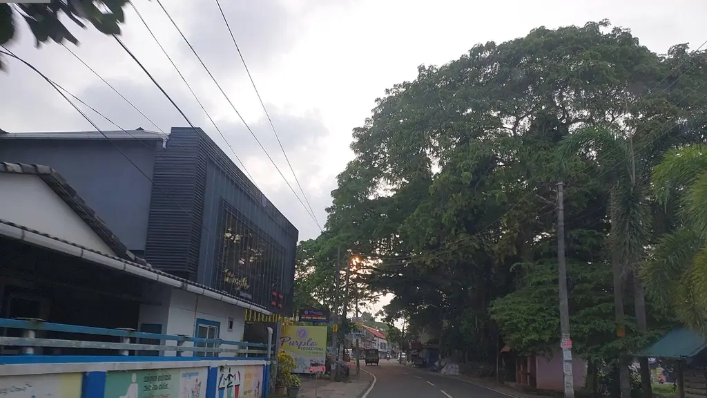 South Indian Bank