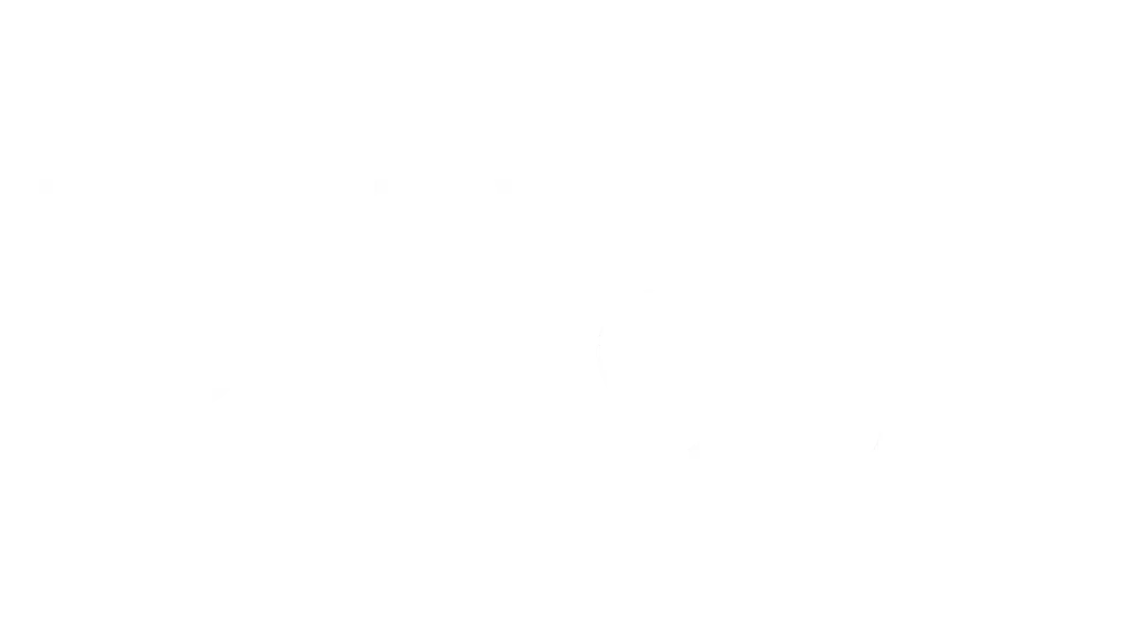 Acecliq Digital Marketing