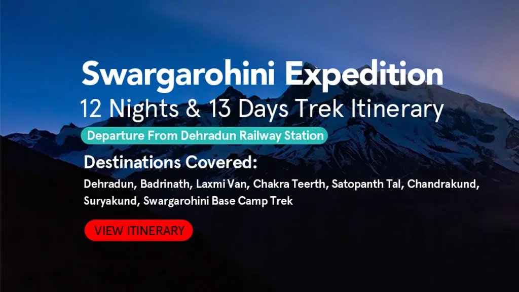 Himalayan Dhoora