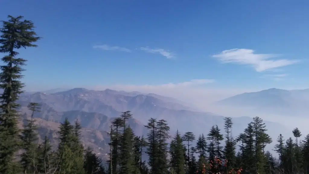 Mountain Gate Himalayan Homestay Shalli ( Nawog)
