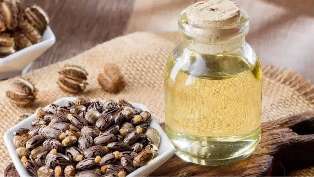 Adya Oil and Chemical