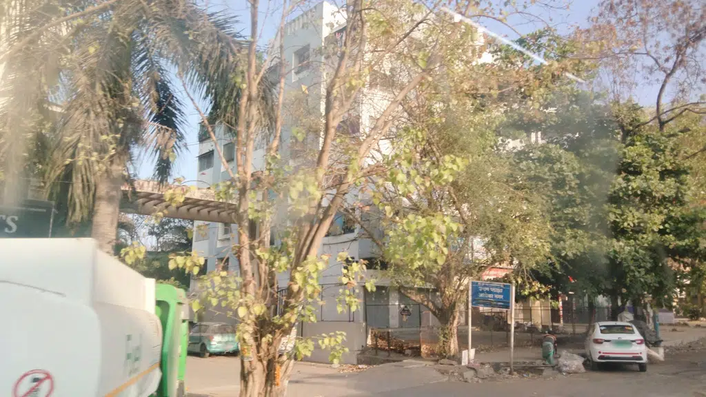 Ankur Diagnostics Digital X-ray ,Portable X-RAY ,ECG ,OPG & Blood collection Center