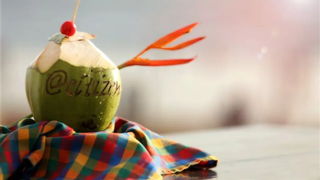 Citizen Hotels Pvt. Ltd.