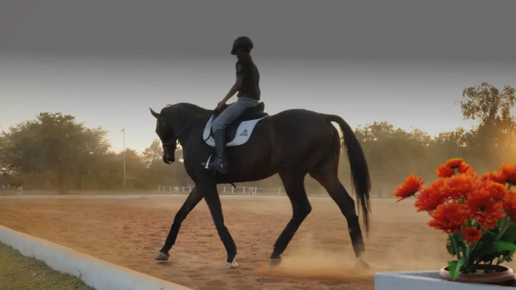 Embassy International Riding School
