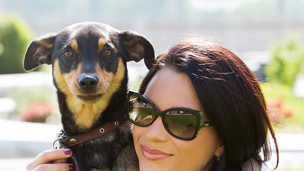Remedio Vet - Pet Store & Global Pet Relocation