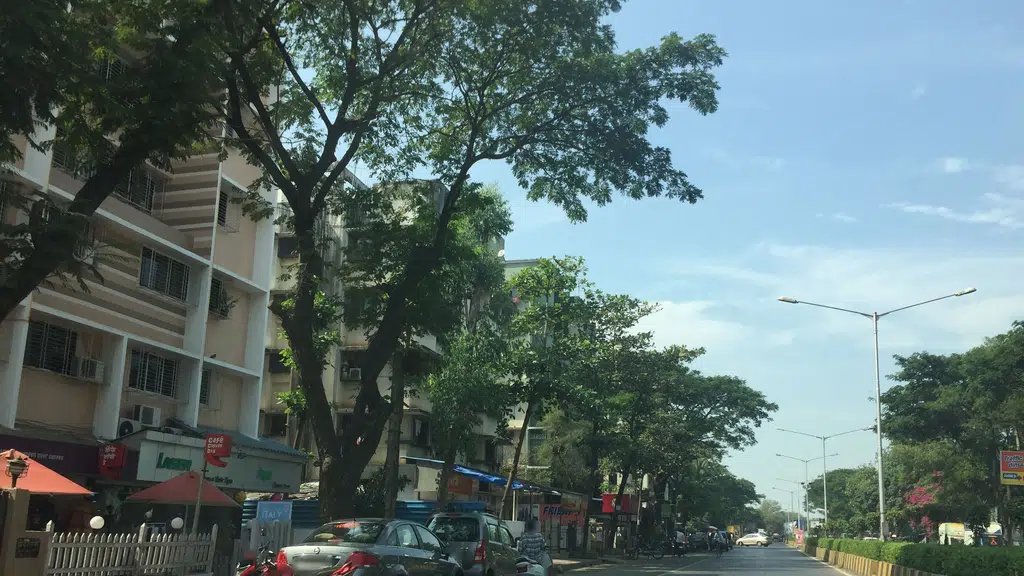 SAIBA Paan Cafe