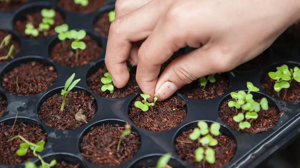Grow Rich Garden Store