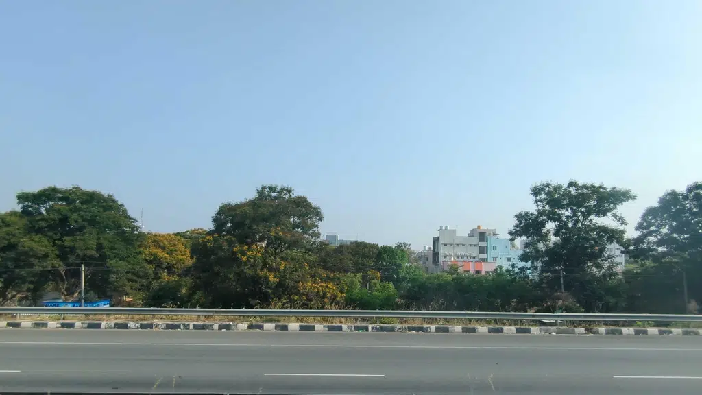 Tirumala Woodside Restaurant