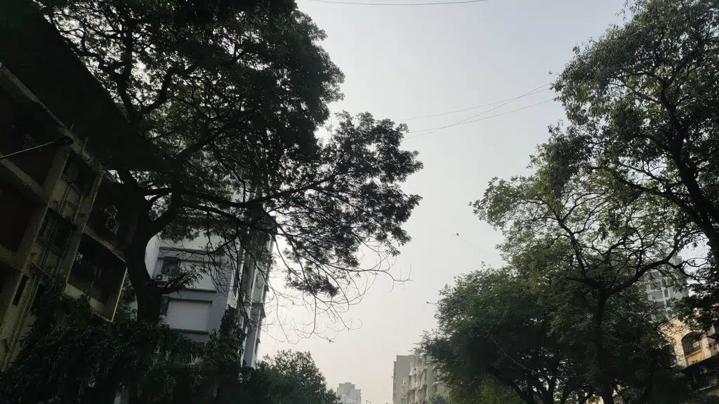 Dr. Sujata Naik's Homoeopathy Clinic