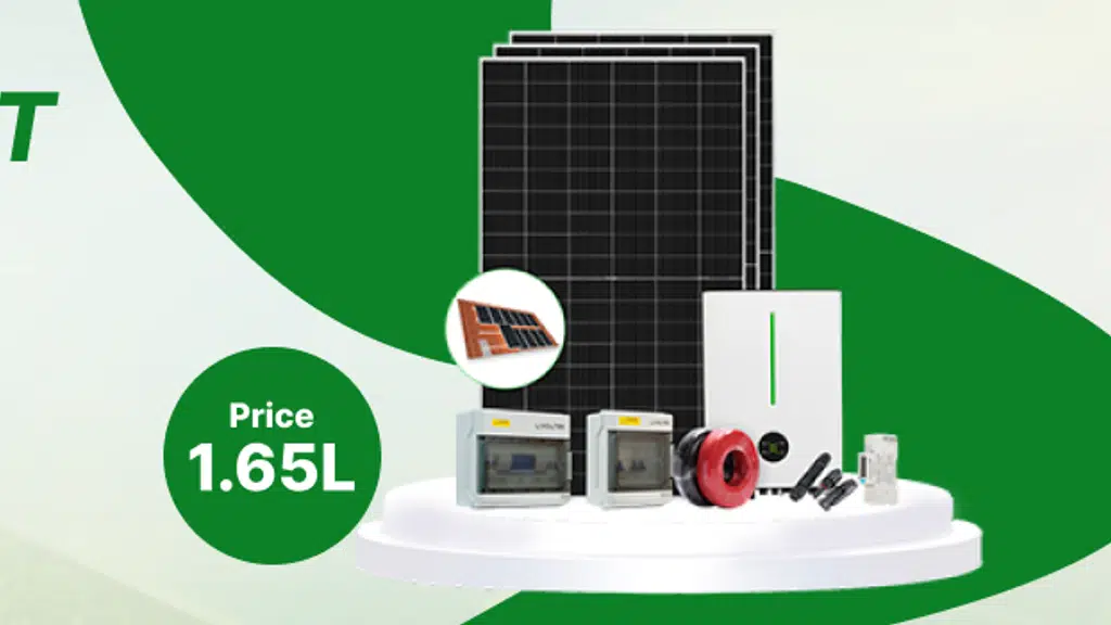 B3RG worldwide Pvt.Ltd