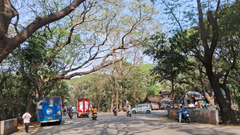 Aarey Market