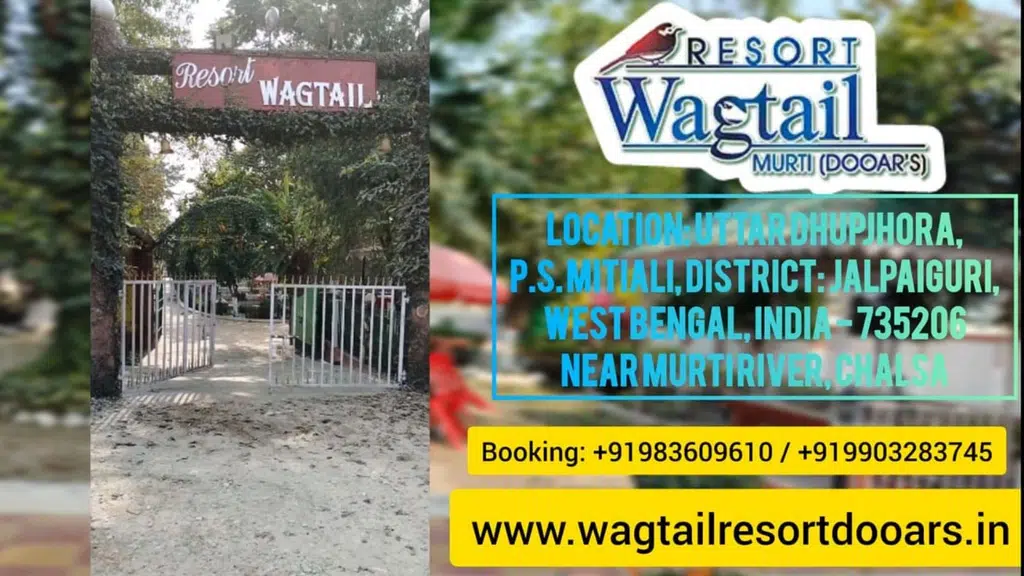 Resort Wagtail