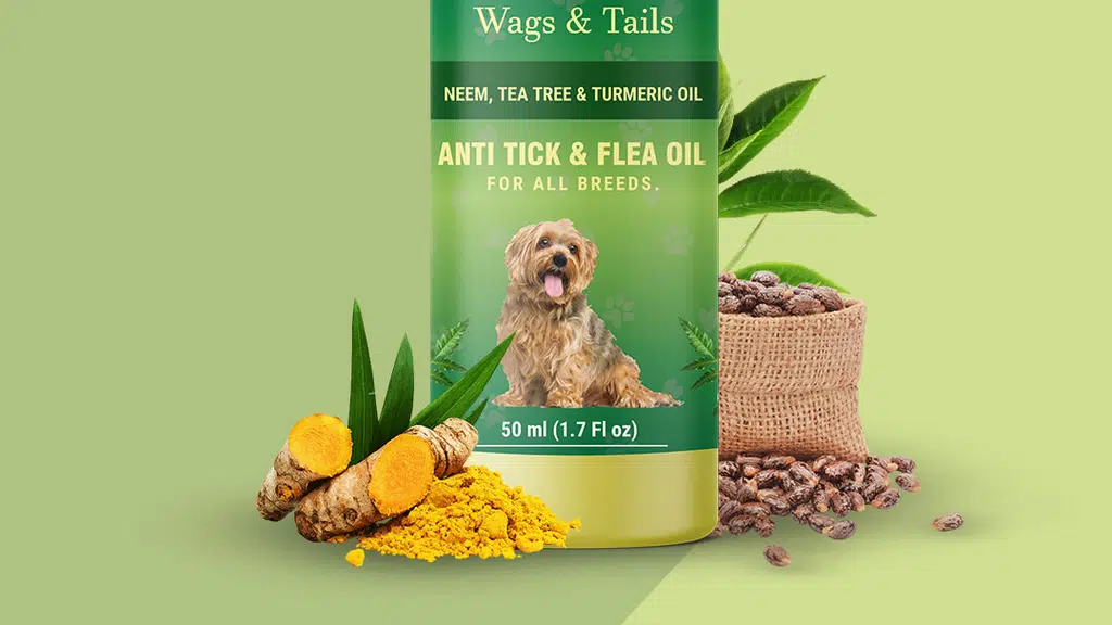 Wags & Tails