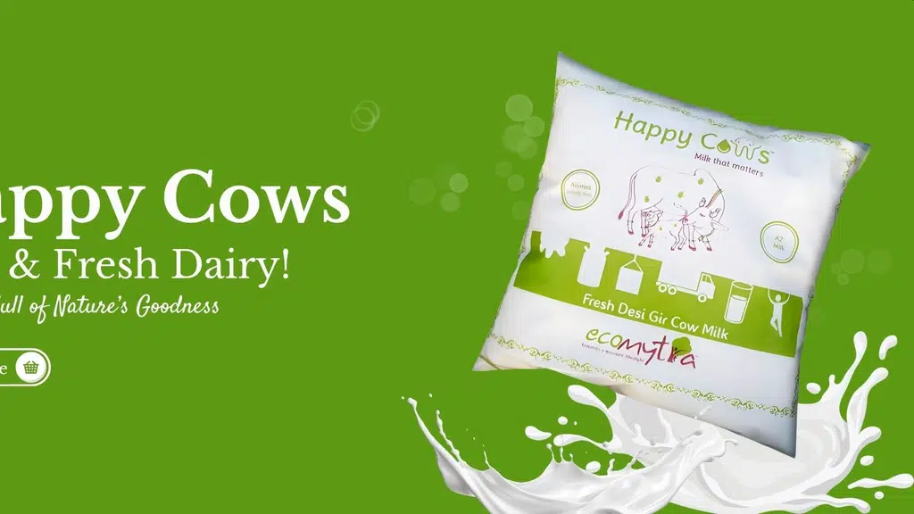 A2 Desi Gir Cows Milk
