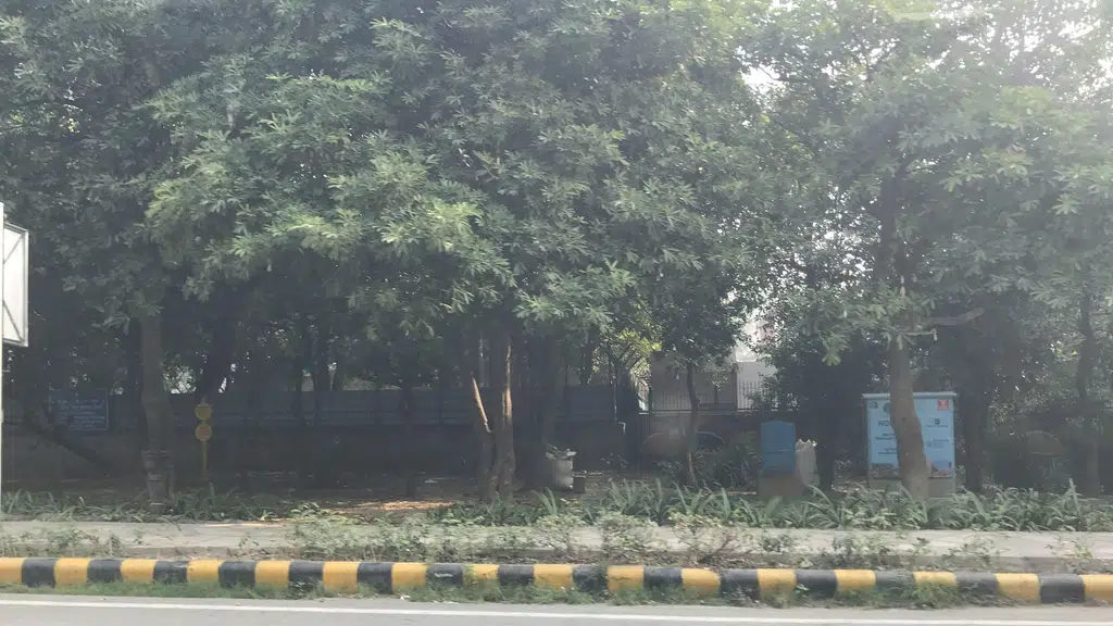 NDMC Primary School