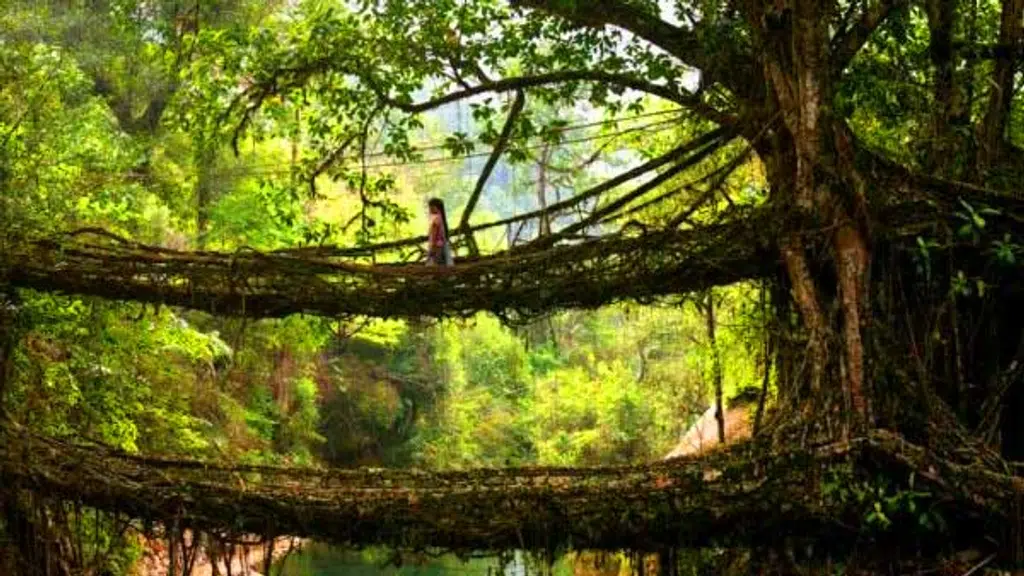 TFNE Tours and Travels