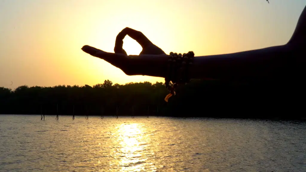 The Yoga Institute Goa