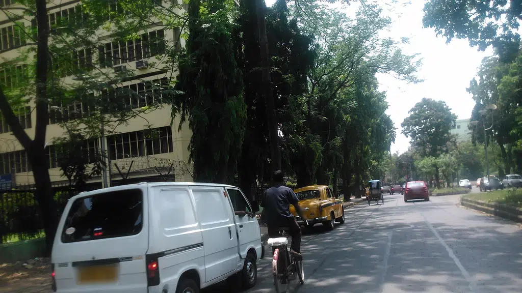 Archaeological Survey of India