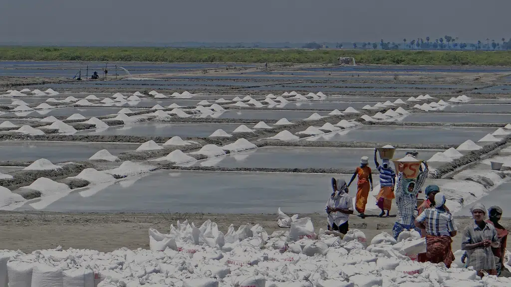 Salt Asia Expo