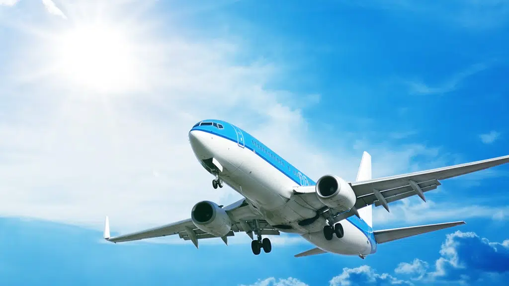 Wings International Tours and Travels