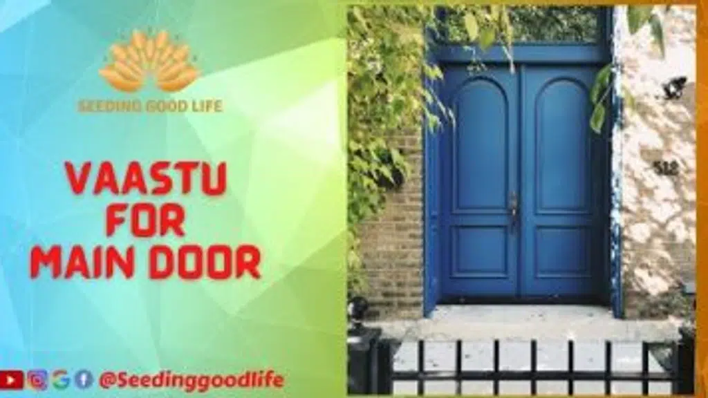 Seeding Good Life - Healing Center