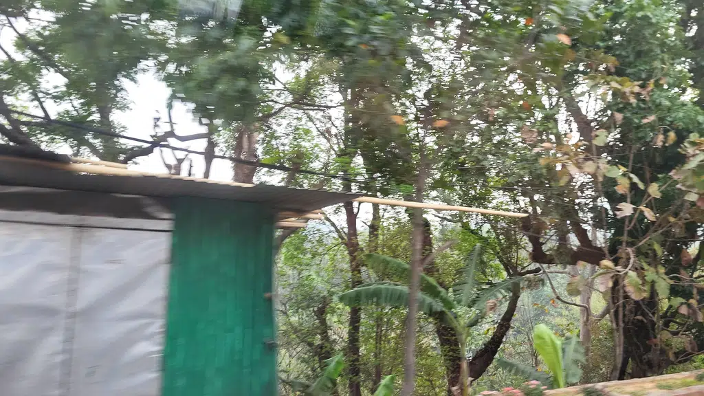 Tandoori Hut