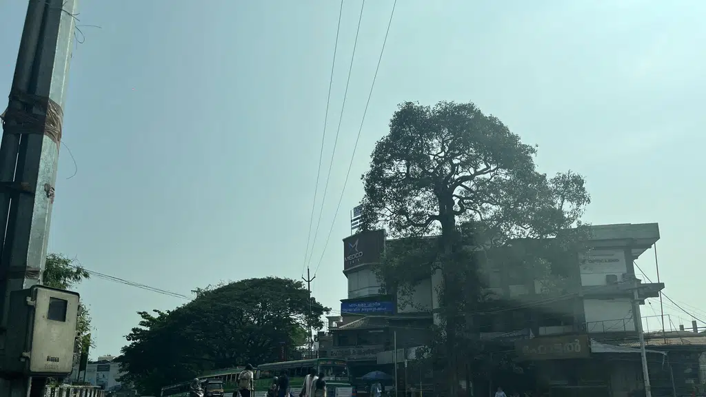 Bloodbank Medical College Kozhikode