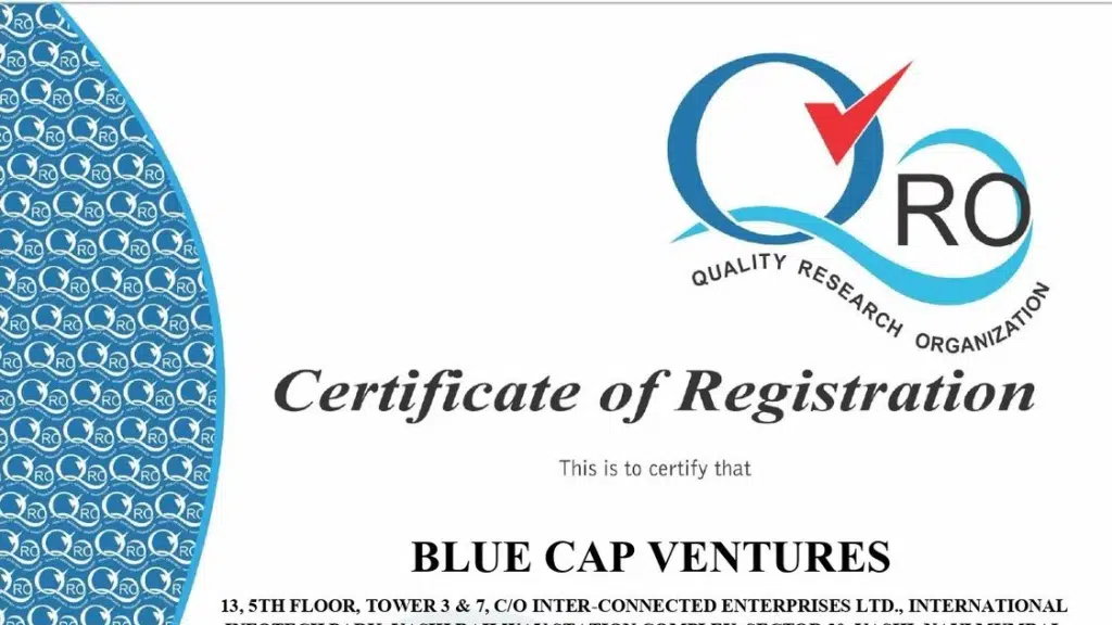 Blue Cap Ventures