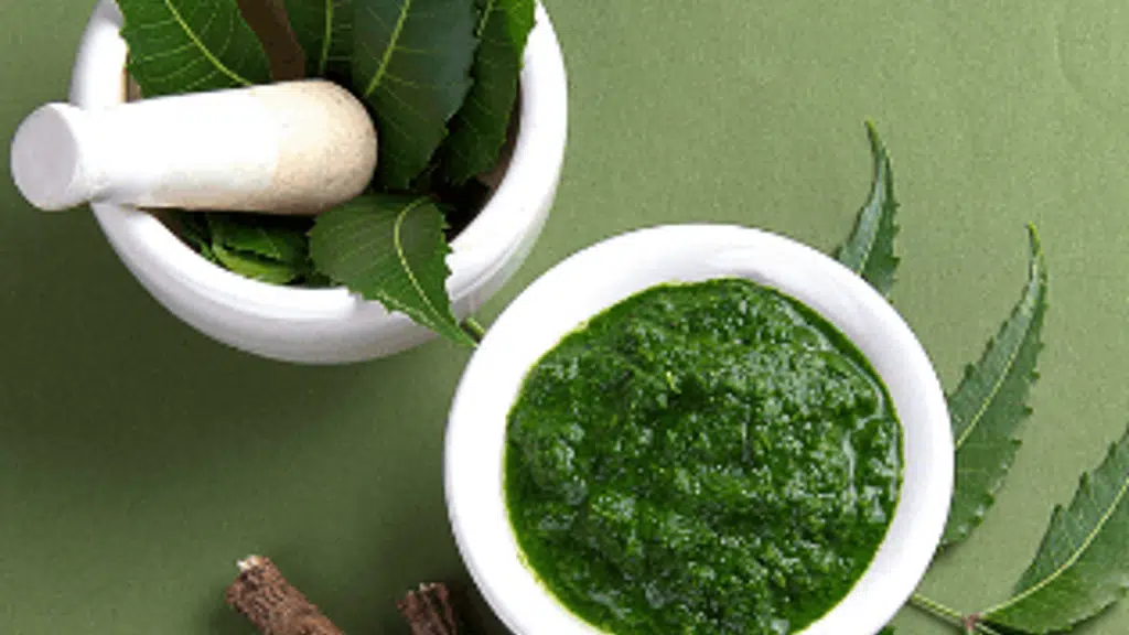 Dr. Richa's Ayurveda