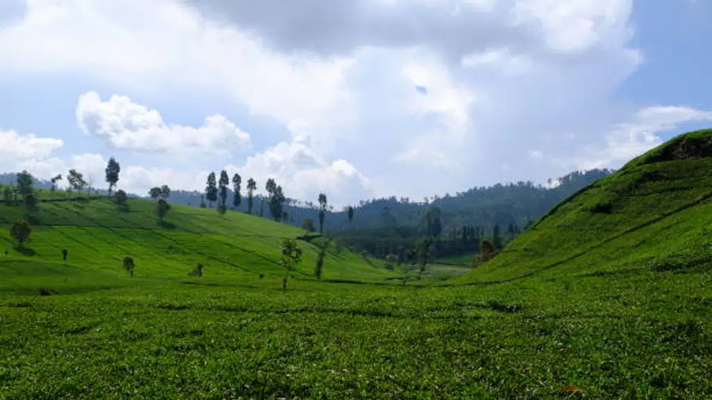 Enduring Journeys Pvt. Ltd.
