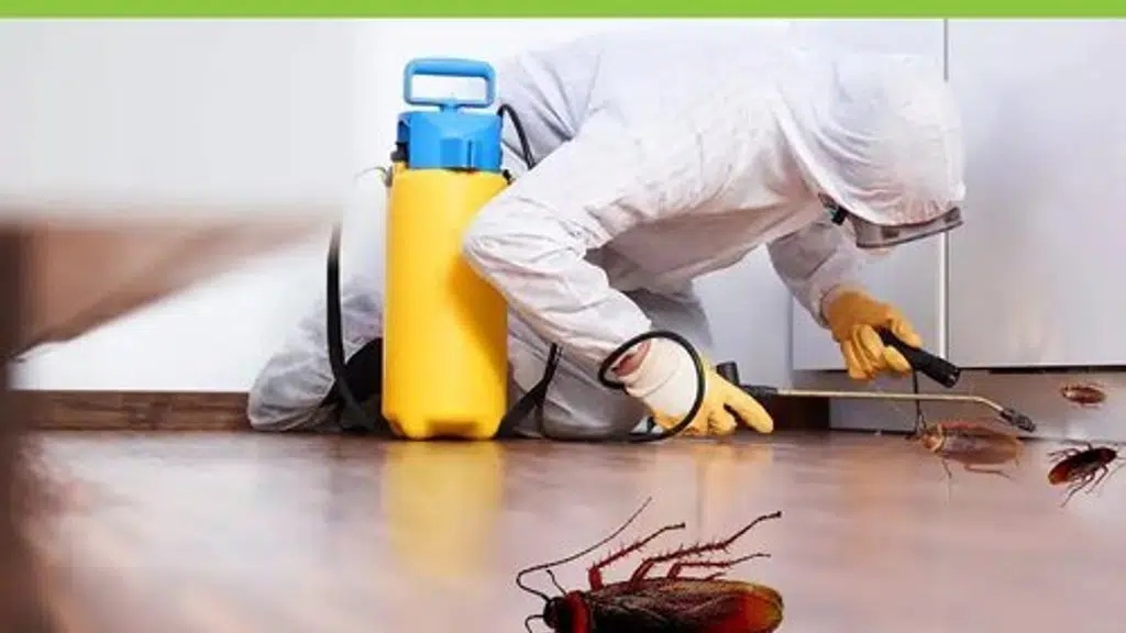 Max Vision Pest - Fumi-Tech India Pvt Ltd.